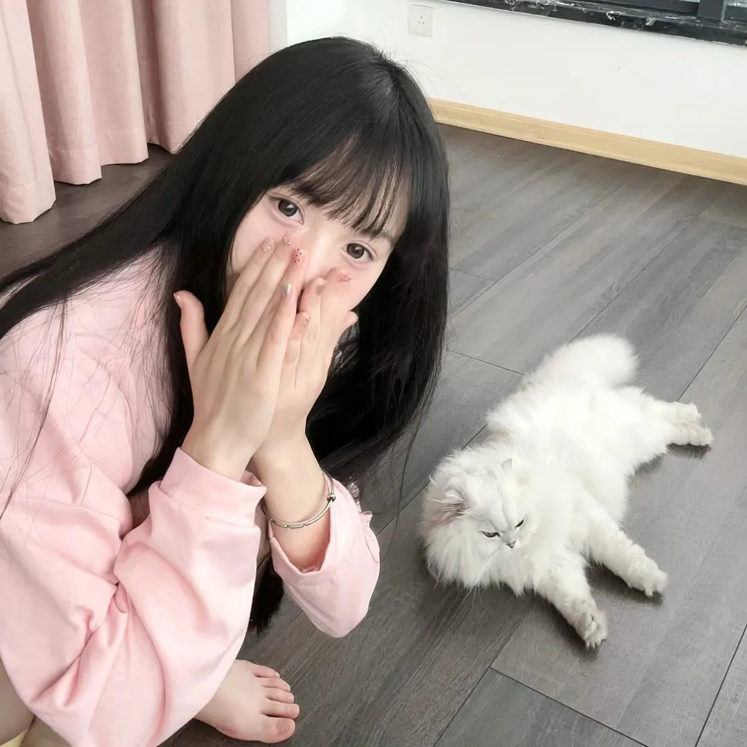 圣斗士星矢 圣斗少女翔
