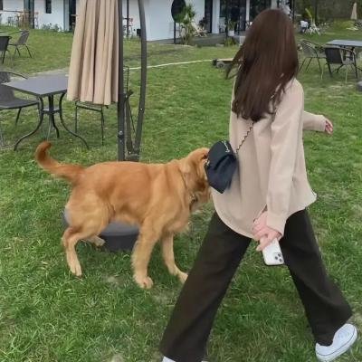 莫罗事件